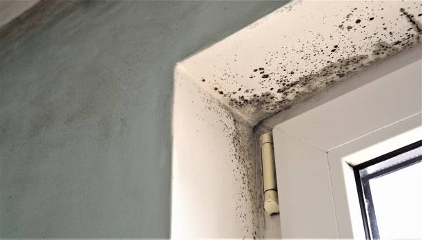 Best Indoor Air Quality Assessment  in Mvern, AL