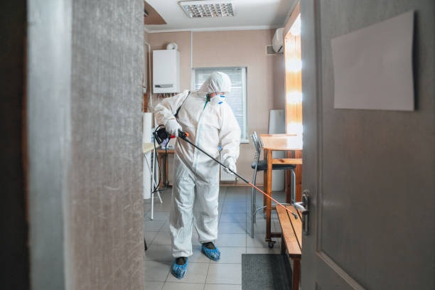 Best Air Quality Testing for Mold Spores  in Mvern, AL