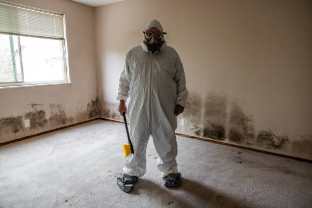 Best HVAC Mold Inspection and Cleaning  in Mvern, AL